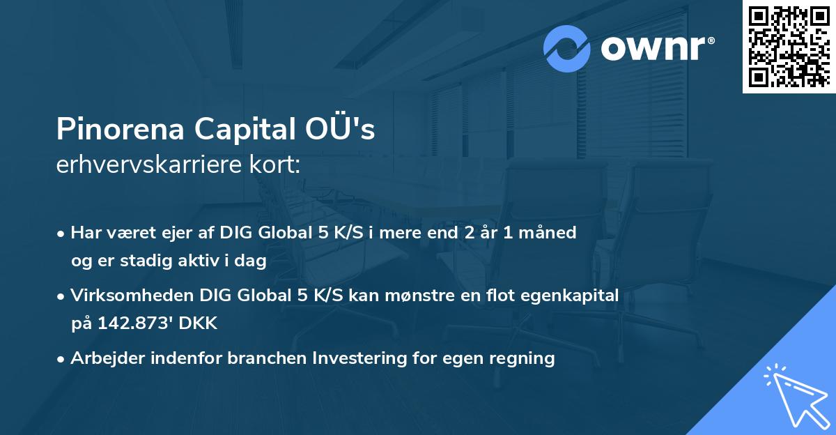 Pinorena Capital OÜ's erhvervskarriere kort