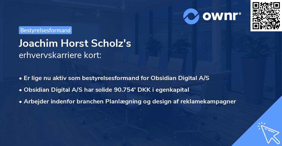 Joachim Horst Scholz's erhvervskarriere kort