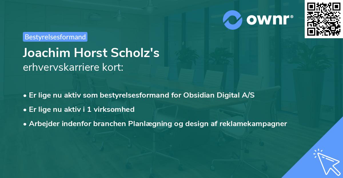 Joachim Horst Scholz's erhvervskarriere kort