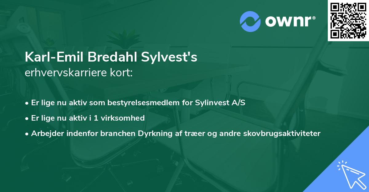 Karl-Emil Bredahl Sylvest's erhvervskarriere kort