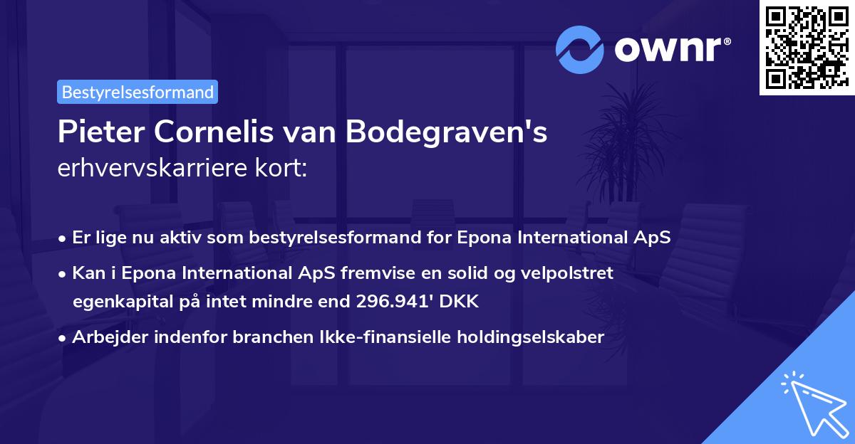 Pieter Cornelis van Bodegraven's erhvervskarriere kort