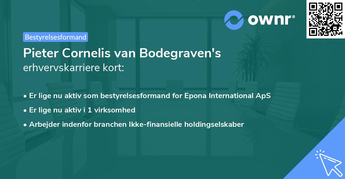 Pieter Cornelis van Bodegraven's erhvervskarriere kort