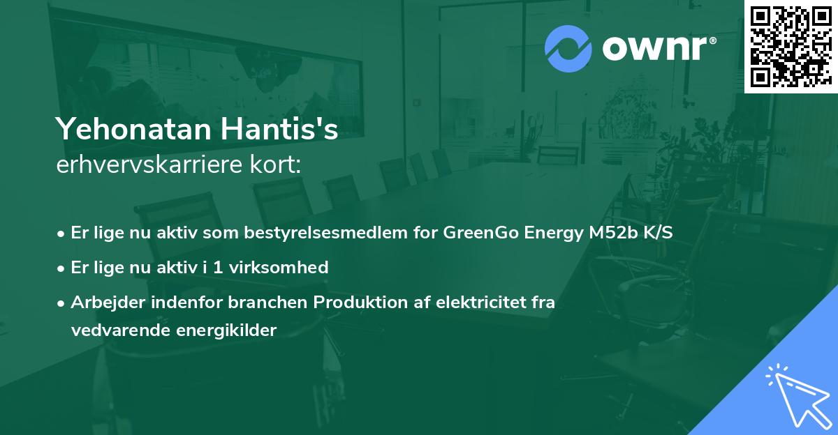 Yehonatan Hantis's erhvervskarriere kort