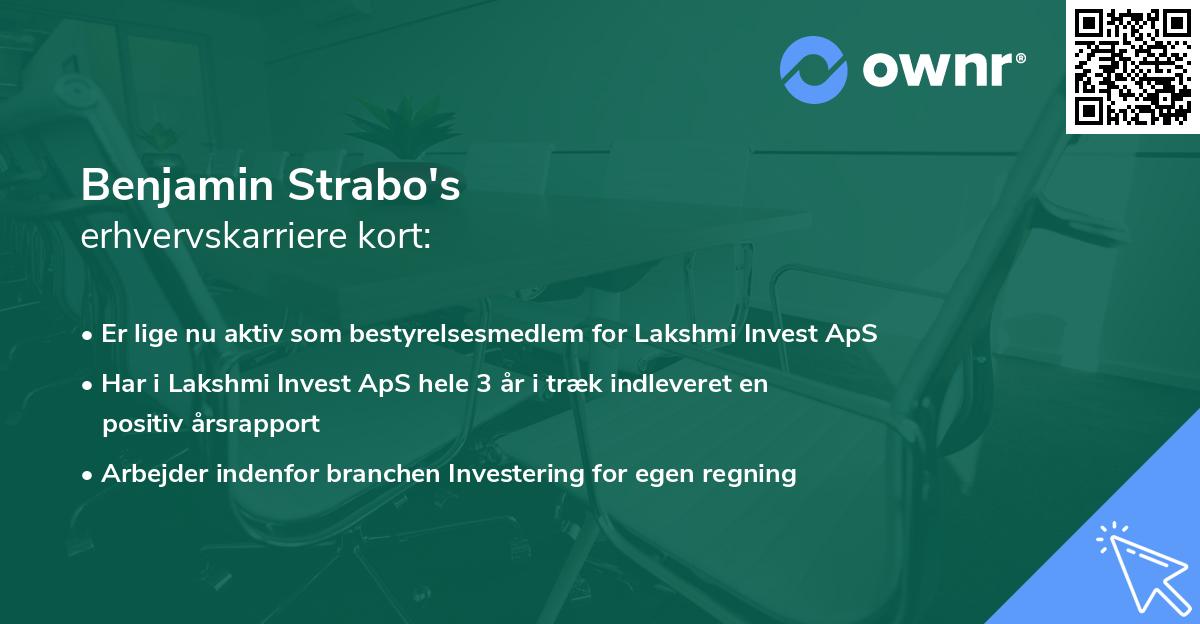 Benjamin Strabo's erhvervskarriere kort