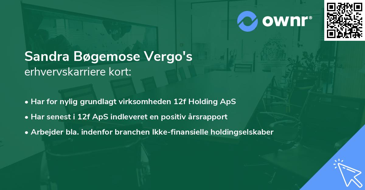 Sandra Bøgemose Vergo's erhvervskarriere kort