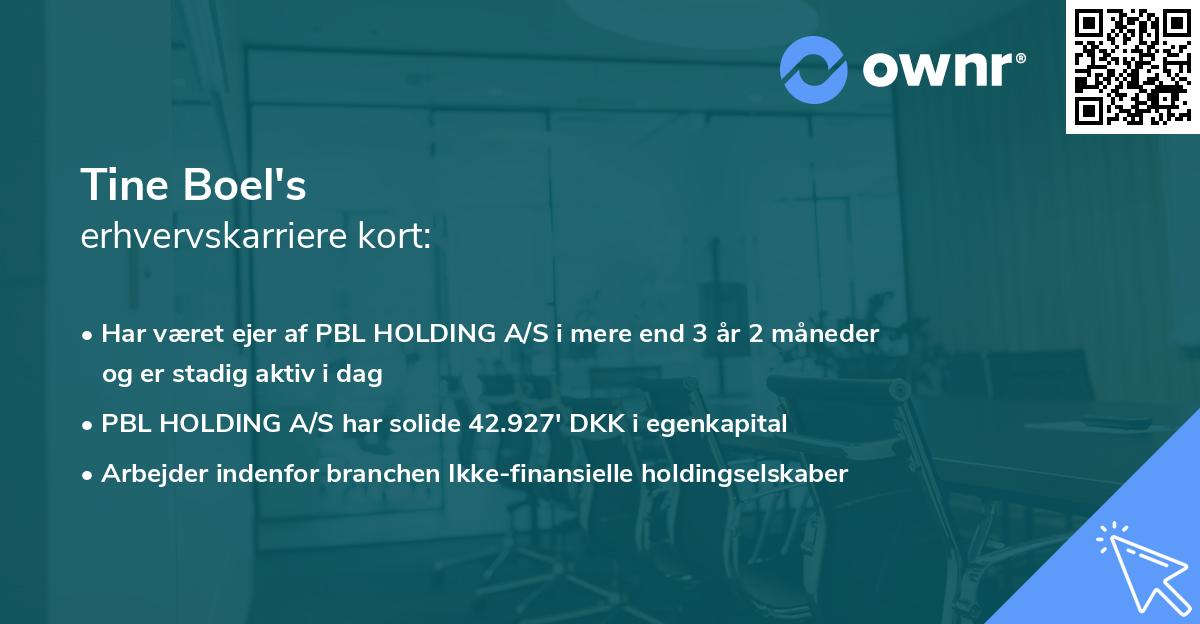 Tine Boel's erhvervskarriere kort