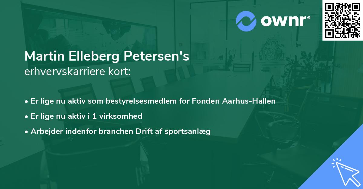 Martin Elleberg Petersen's erhvervskarriere kort