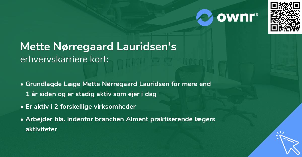 Mette Nørregaard Lauridsen's erhvervskarriere kort