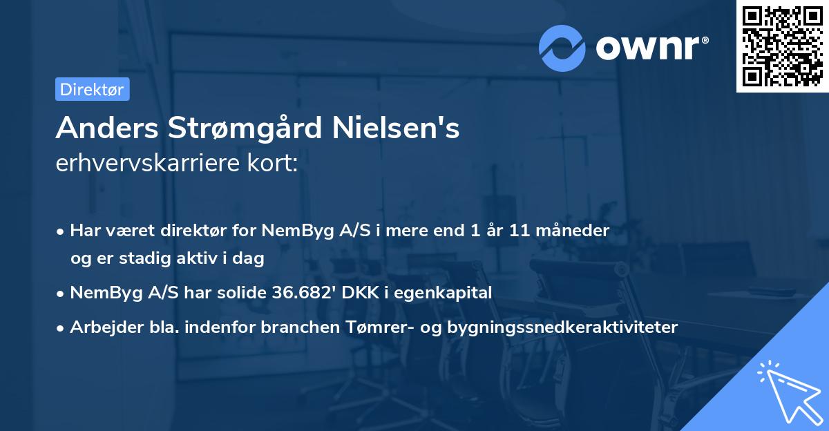 Anders Strømgård Nielsen's erhvervskarriere kort