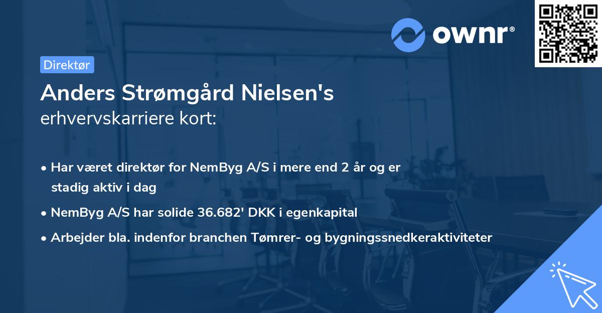 Anders Strømgård Nielsen's erhvervskarriere kort