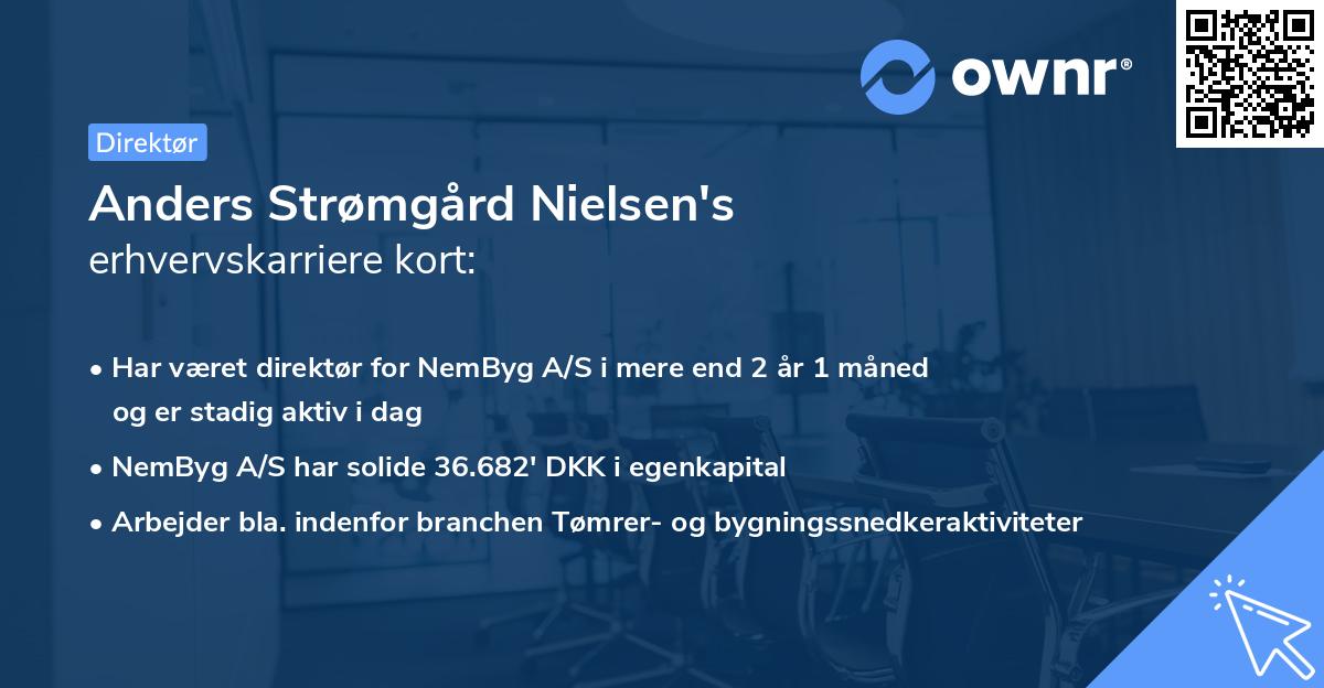 Anders Strømgård Nielsen's erhvervskarriere kort