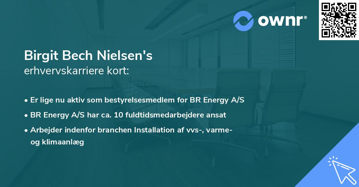 Birgit Bech Nielsen's erhvervskarriere kort