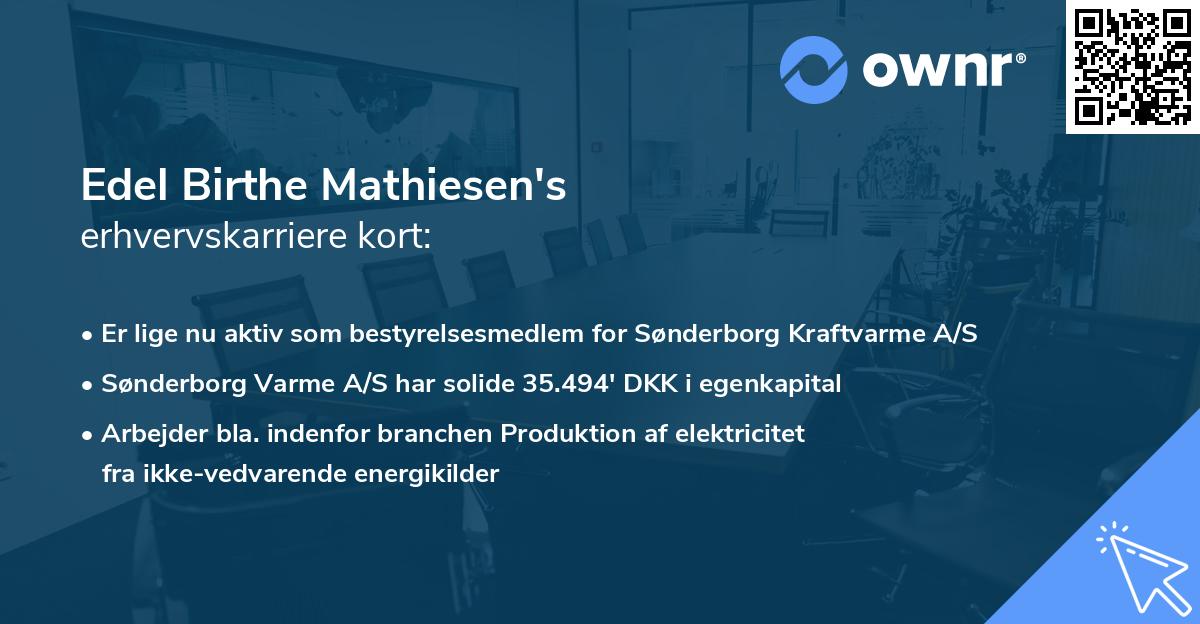 Edel Birthe Mathiesen's erhvervskarriere kort