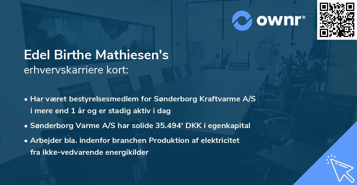 Edel Birthe Mathiesen's erhvervskarriere kort