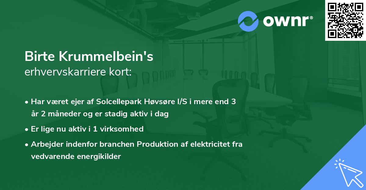 Birte Krummelbein's erhvervskarriere kort