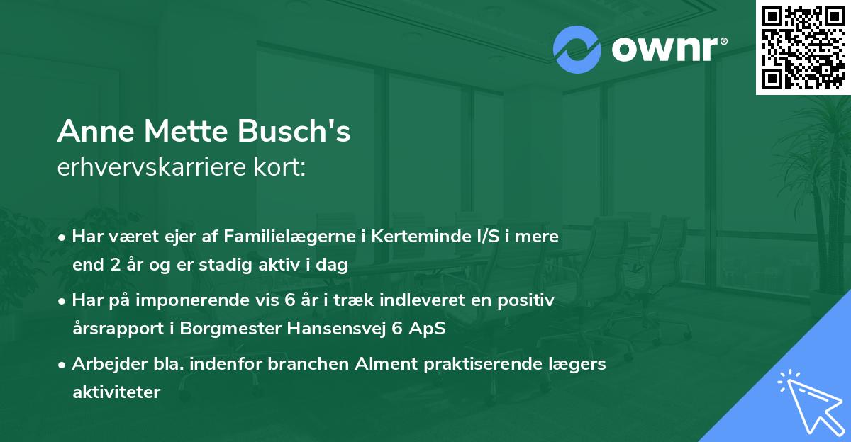 Anne Mette Busch's erhvervskarriere kort