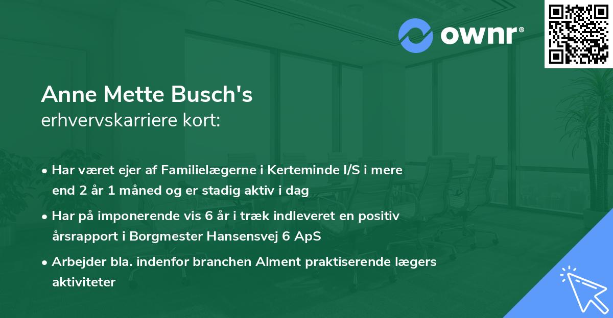 Anne Mette Busch's erhvervskarriere kort