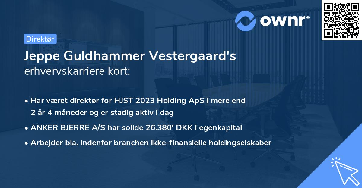 Jeppe Guldhammer Vestergaard's erhvervskarriere kort