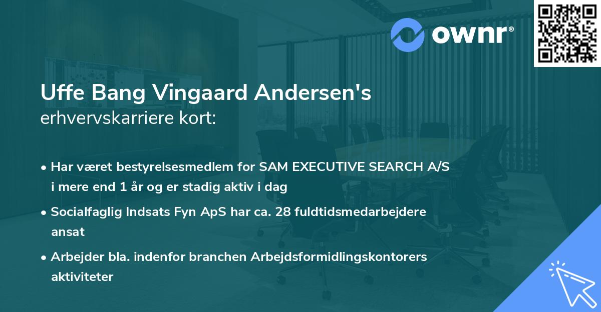 Uffe Bang Vingaard Andersen's erhvervskarriere kort