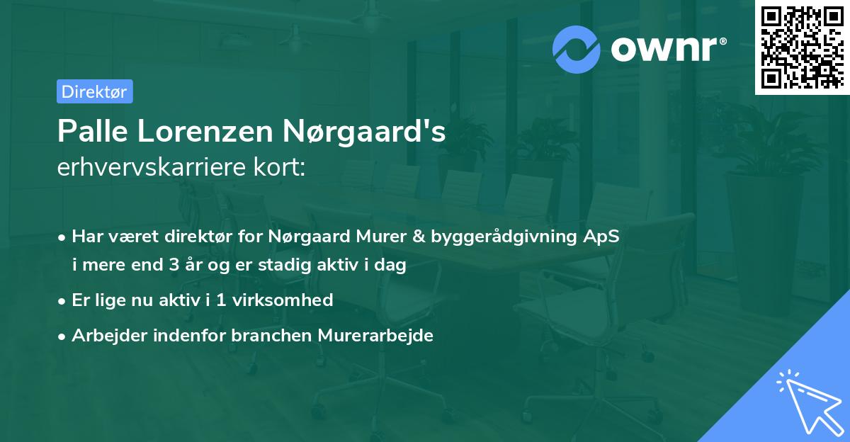 Palle Lorenzen Nørgaard's erhvervskarriere kort