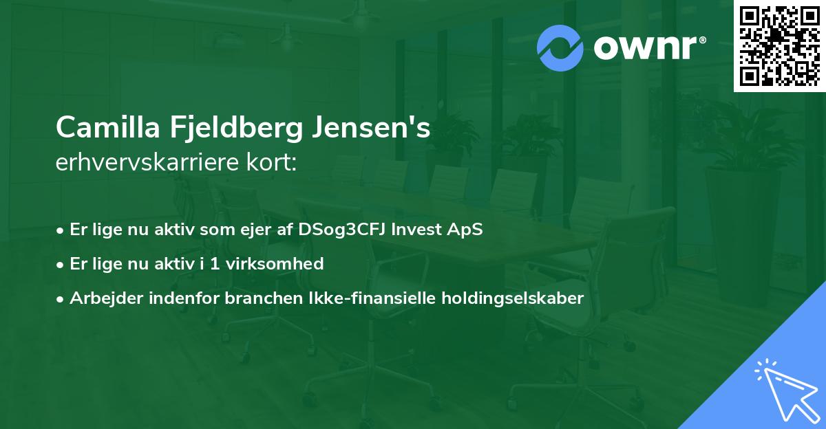 Camilla Fjeldberg Jensen's erhvervskarriere kort