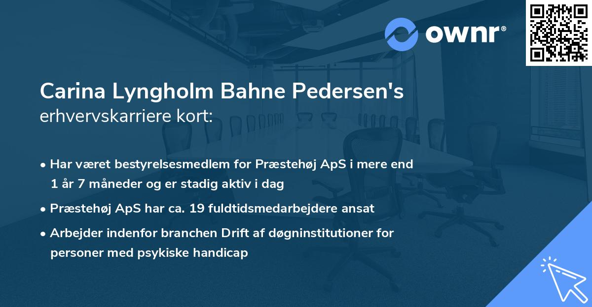 Carina Lyngholm Bahne Pedersen's erhvervskarriere kort