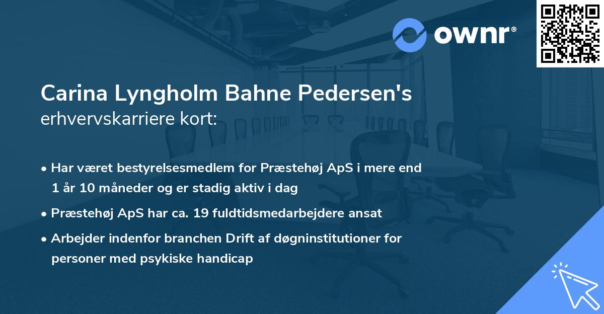 Carina Lyngholm Bahne Pedersen's erhvervskarriere kort