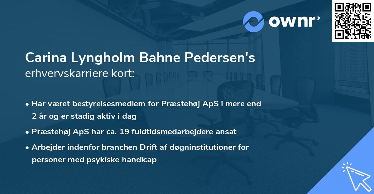 Carina Lyngholm Bahne Pedersen's erhvervskarriere kort