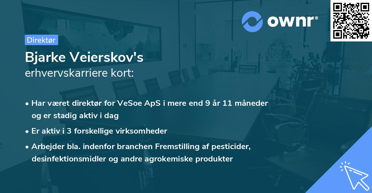 Bjarke Veierskov's erhvervskarriere kort
