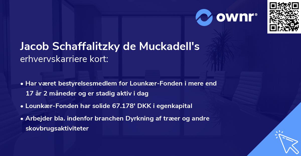 Jacob Schaffalitzky de Muckadell's erhvervskarriere kort