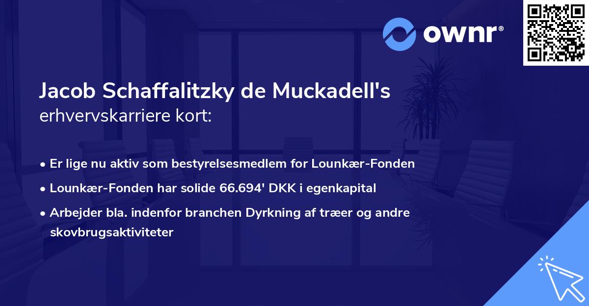 Jacob Schaffalitzky de Muckadell's erhvervskarriere kort