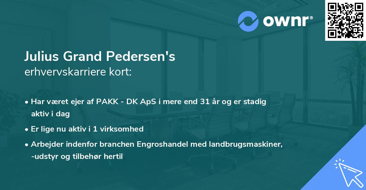 Julius Grand Pedersen's erhvervskarriere kort