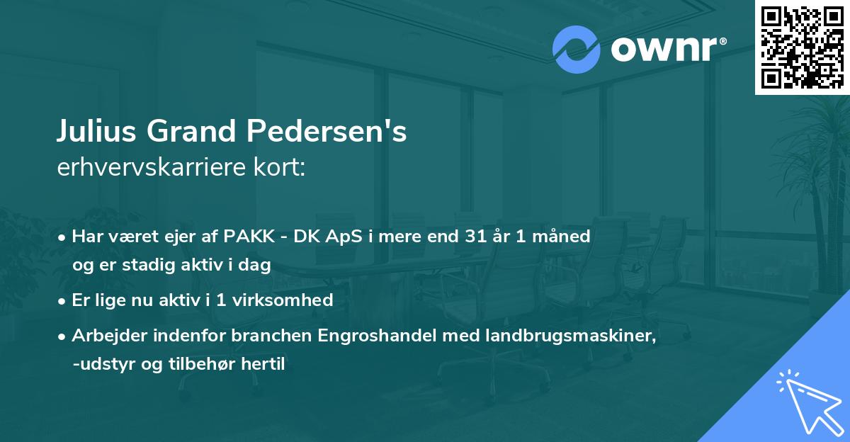 Julius Grand Pedersen's erhvervskarriere kort