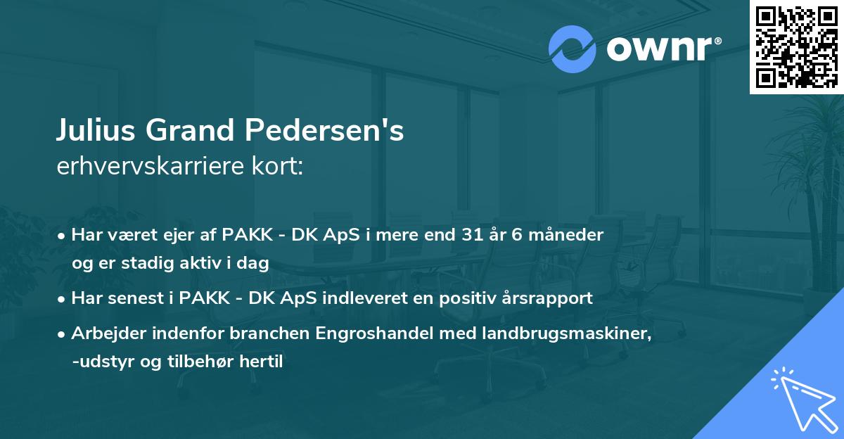 Julius Grand Pedersen's erhvervskarriere kort