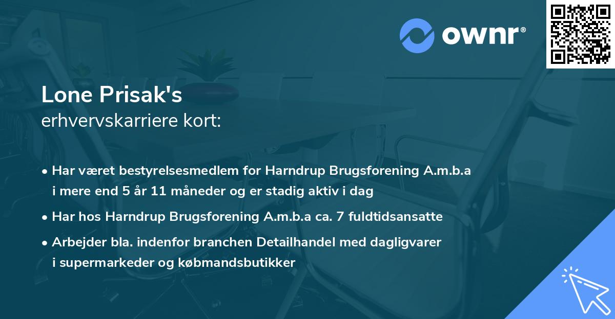 Lone Prisak's erhvervskarriere kort