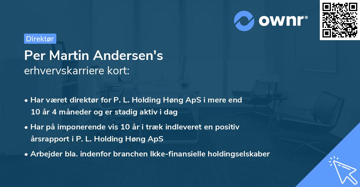 Per Martin Andersen's erhvervskarriere kort