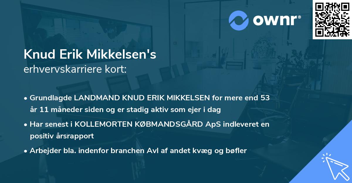Knud Erik Mikkelsen's erhvervskarriere kort