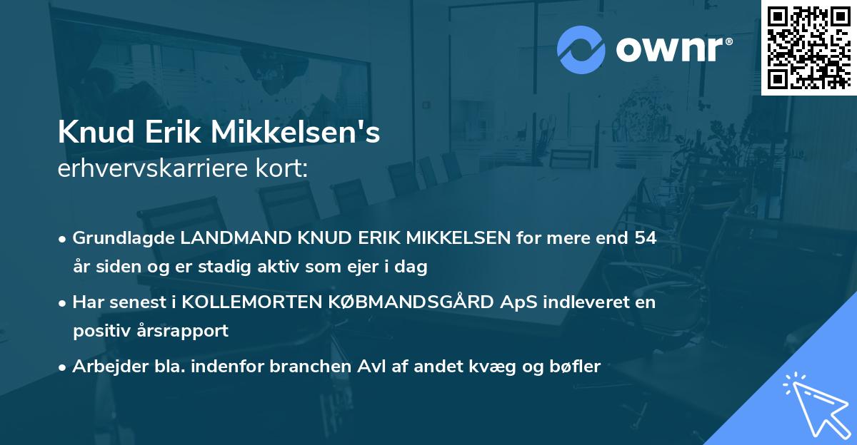 Knud Erik Mikkelsen's erhvervskarriere kort