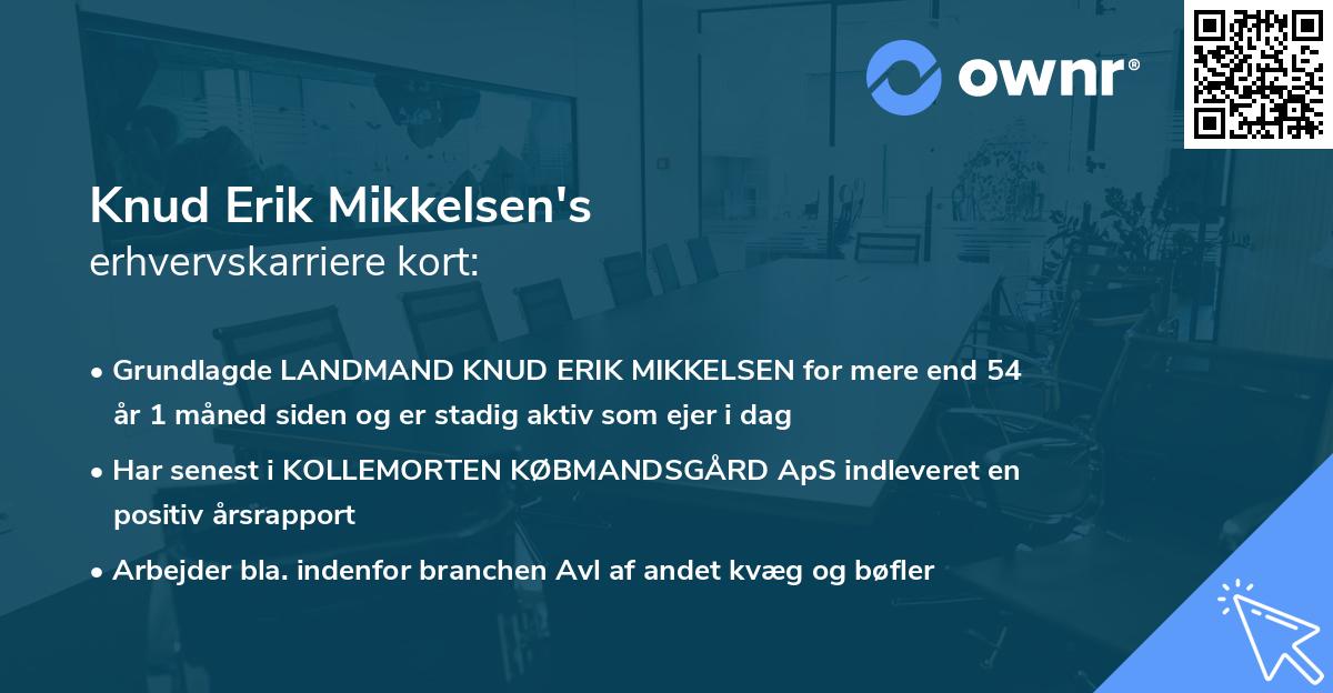 Knud Erik Mikkelsen's erhvervskarriere kort