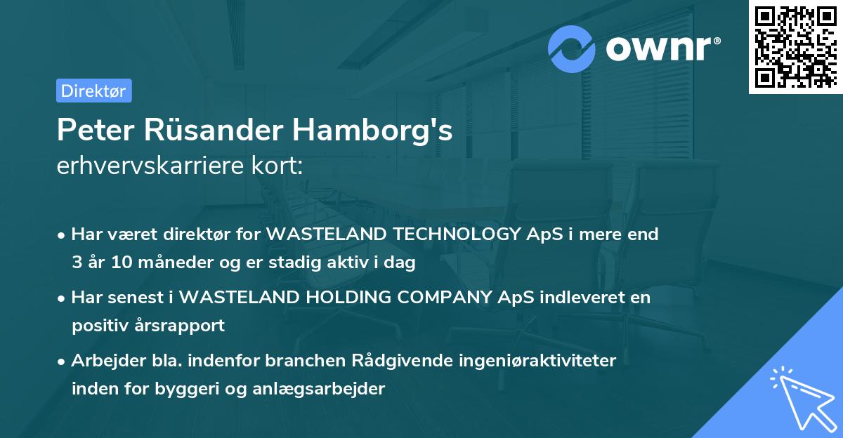 Peter Rüsander Hamborg's erhvervskarriere kort