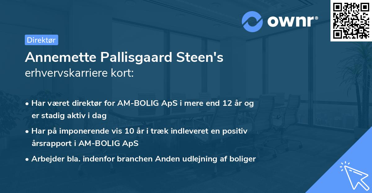 Annemette Pallisgaard Steen's erhvervskarriere kort