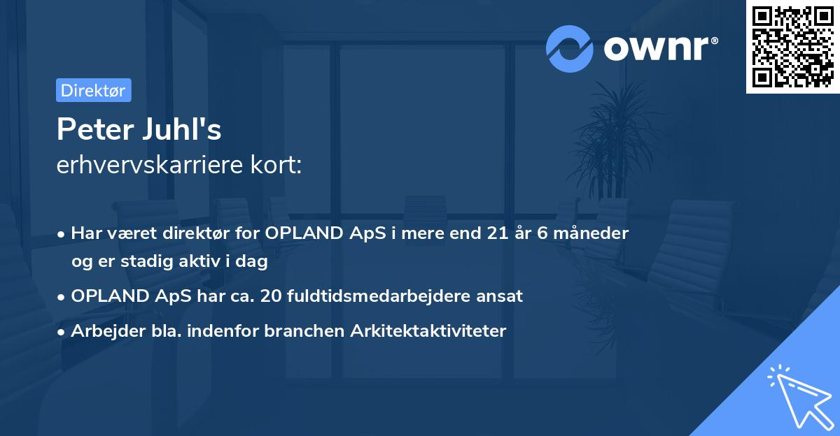 Peter Juhl's erhvervskarriere kort
