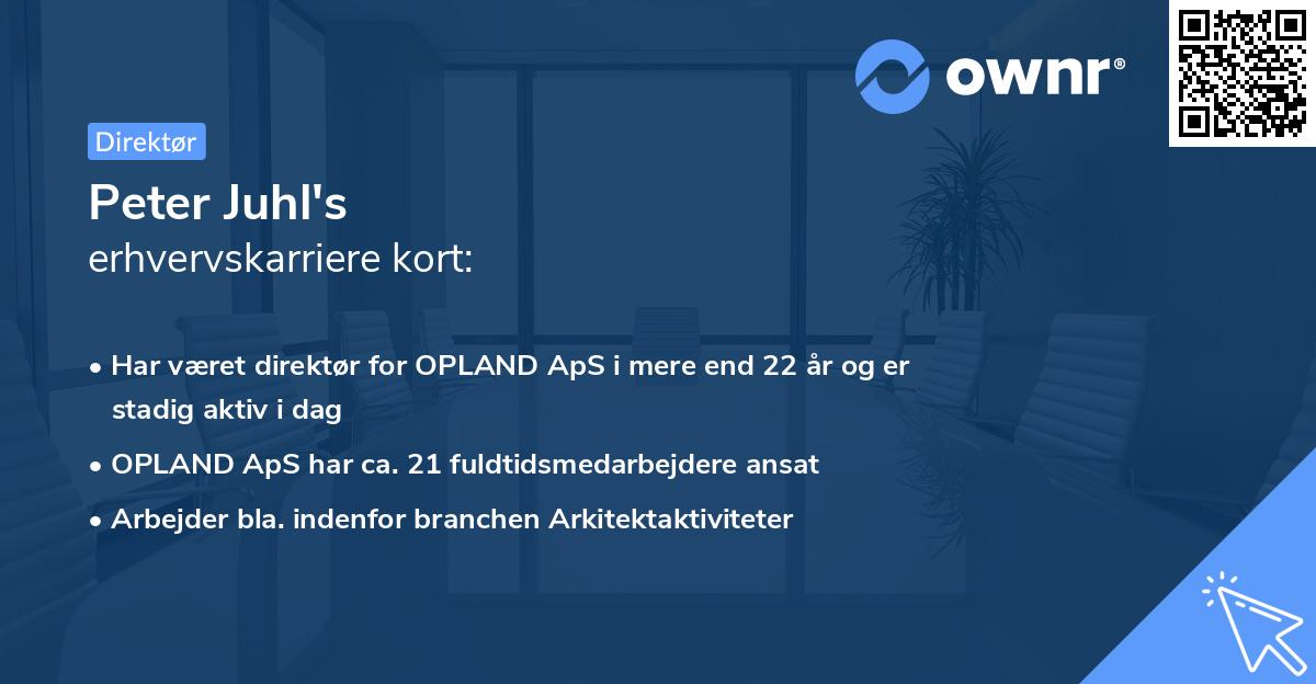 Peter Juhl's erhvervskarriere kort