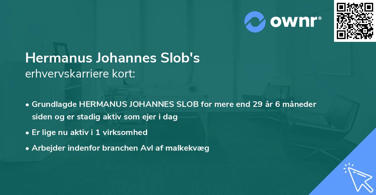 Hermanus Johannes Slob's erhvervskarriere kort