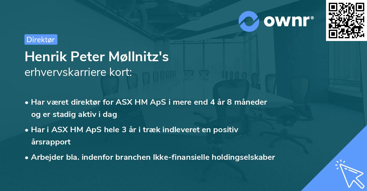 Henrik Peter Møllnitz's erhvervskarriere kort