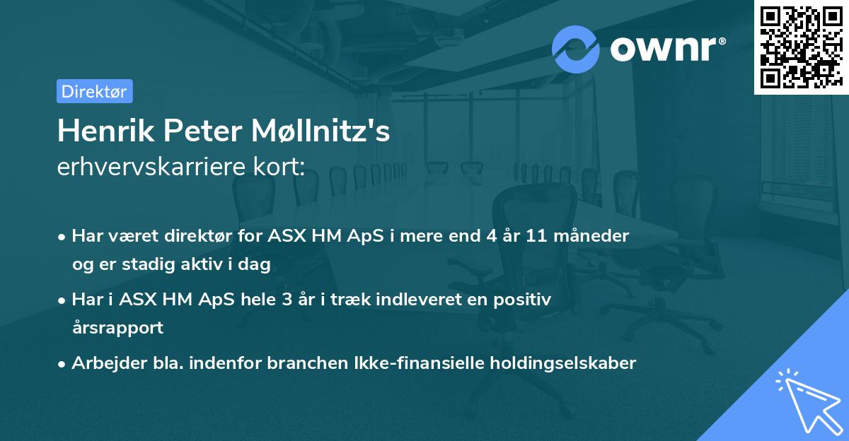Henrik Peter Møllnitz's erhvervskarriere kort