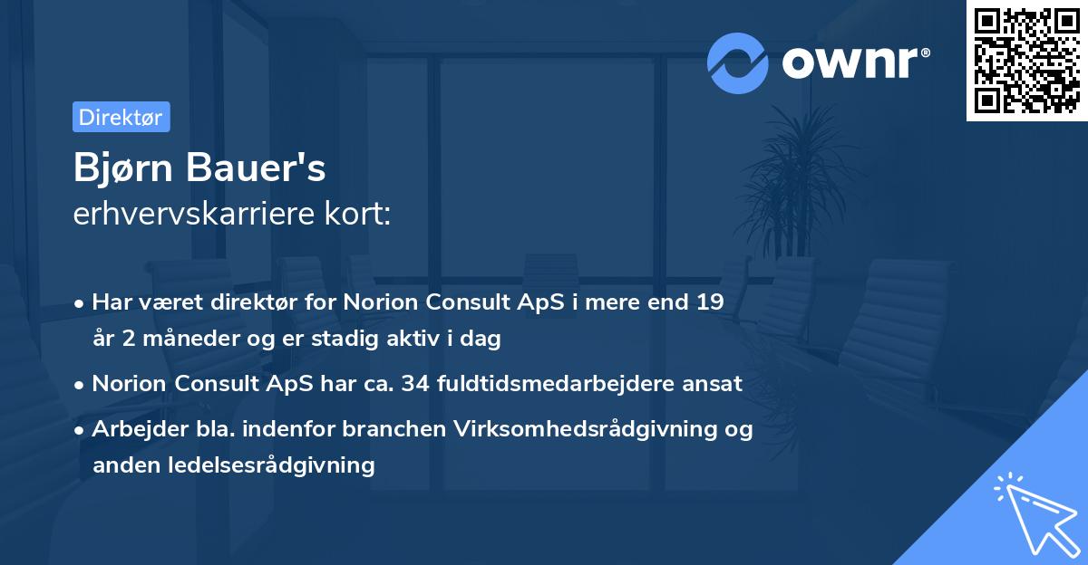 Bjørn Bauer's erhvervskarriere kort