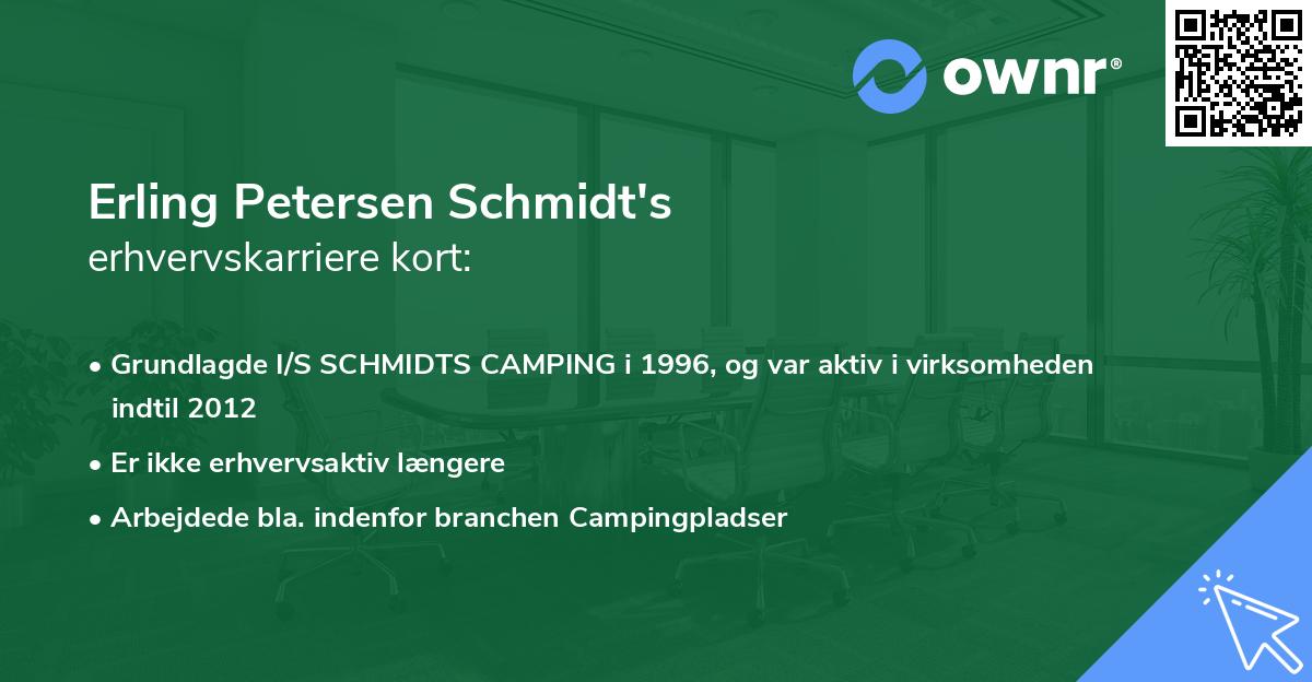 Erling Petersen Schmidt's erhvervskarriere kort