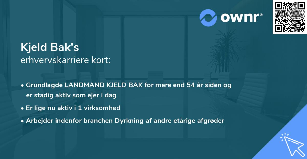 Kjeld Bak's erhvervskarriere kort