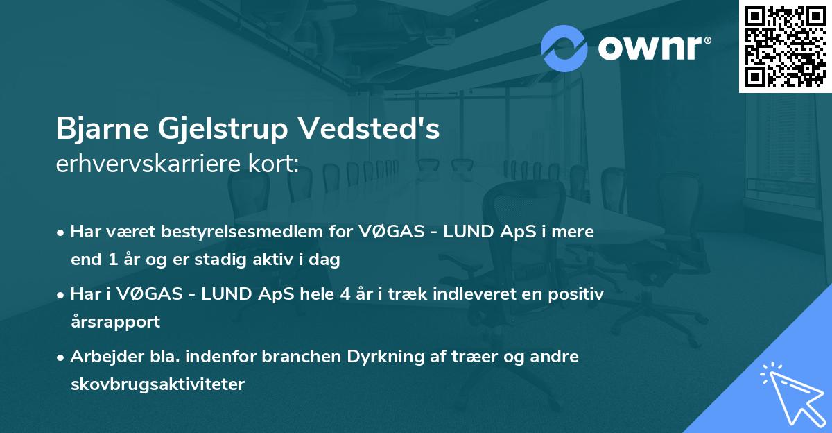 Bjarne Gjelstrup Vedsted's erhvervskarriere kort